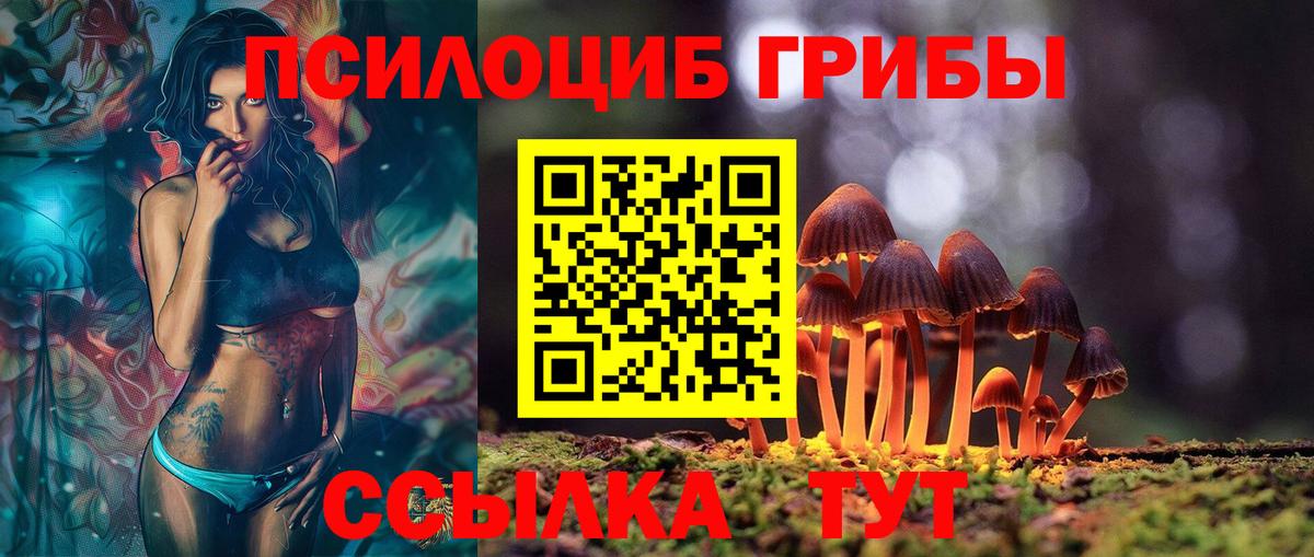 Моздок  Галлюциногенные грибы MAGIC MUSHROOMS  Галлюциногенные грибы мухоморы  где купить   Вход с VPN 