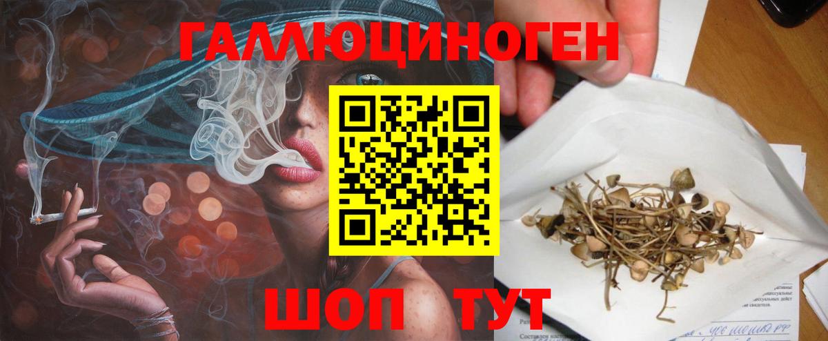 Псилоцибиновые грибы Magic Shrooms Моздок